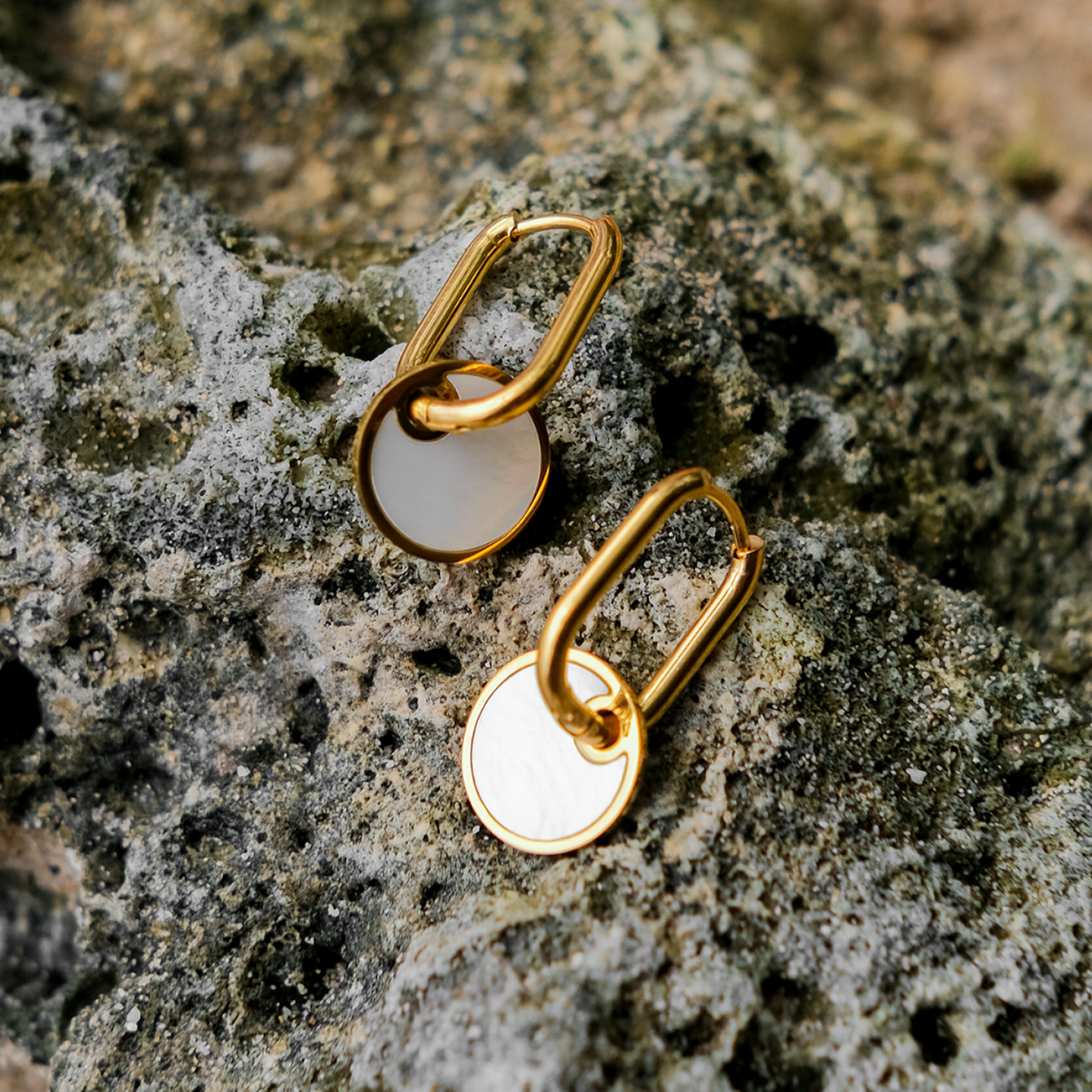 Celeste Shell Dangle Oorbellen