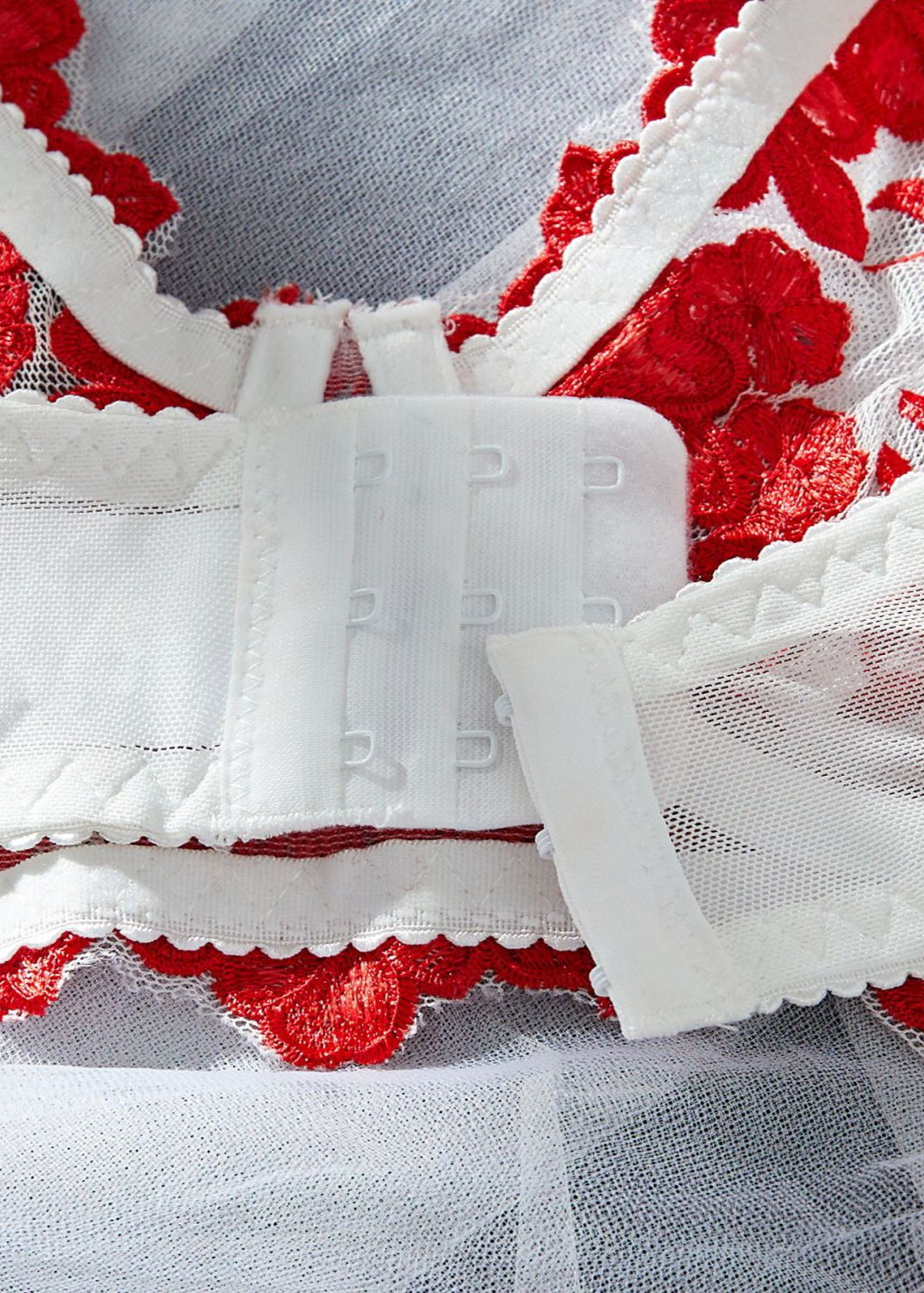 Crimson Bloom – Red Embroidered Mesh Lingerie Set with Triangle Cups