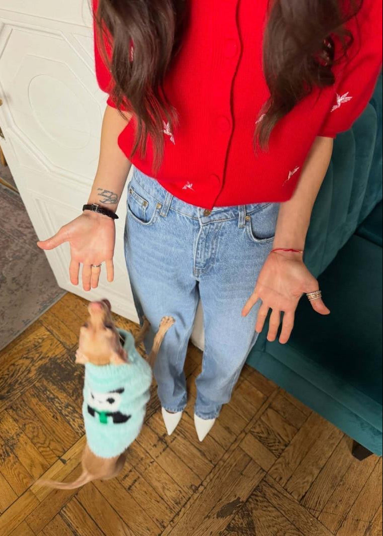 Red Bird Embroidered Short-Sleeve Cardigan with Button Front