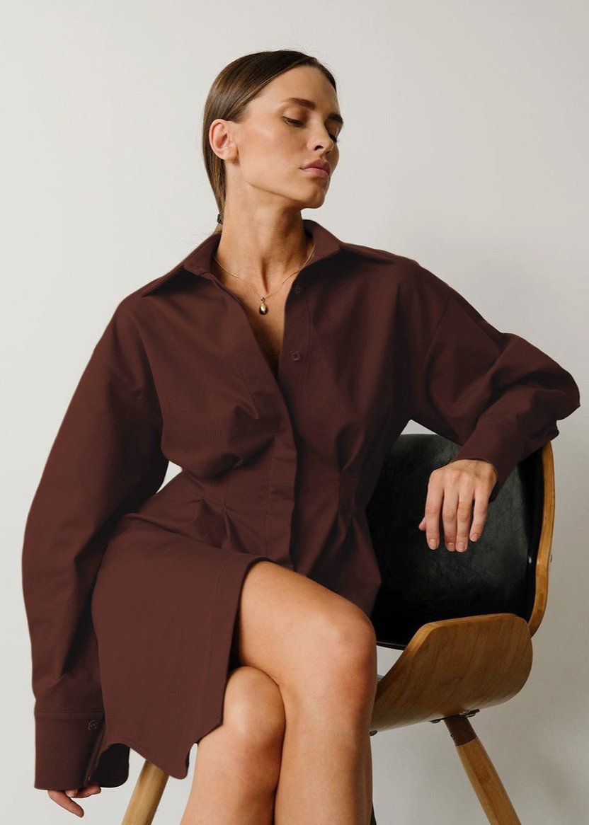 Classic Tailored Shirt Dress